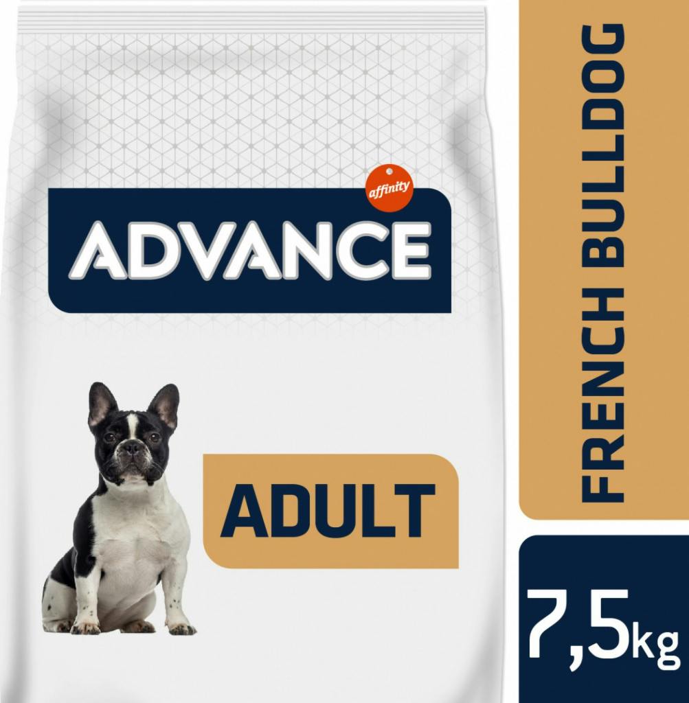 Advance Original French Bulldog