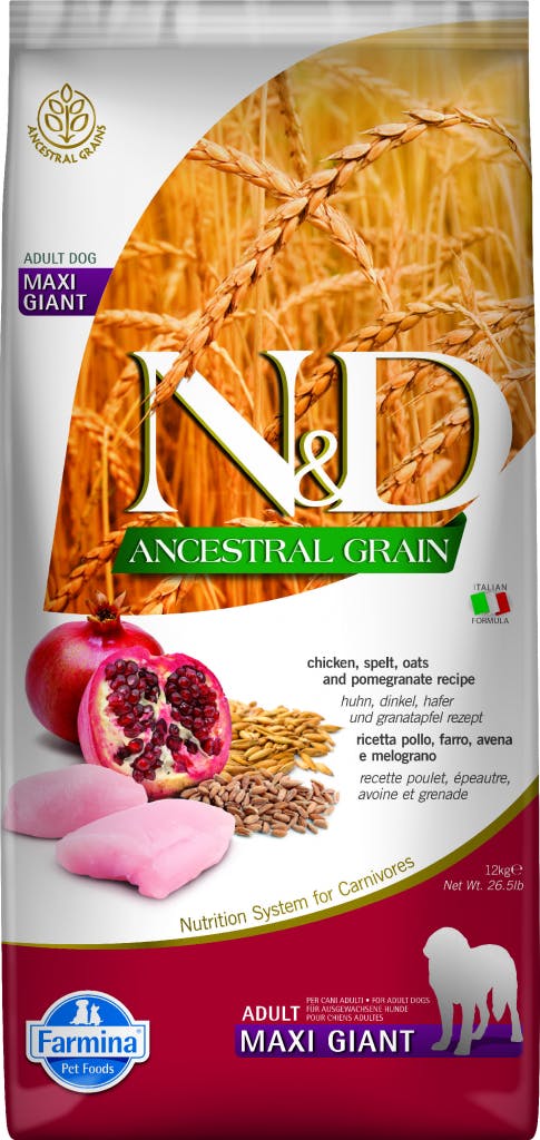 N&D Ancestral Grain Adult Maxi & Giant Chicken & Pomegranate