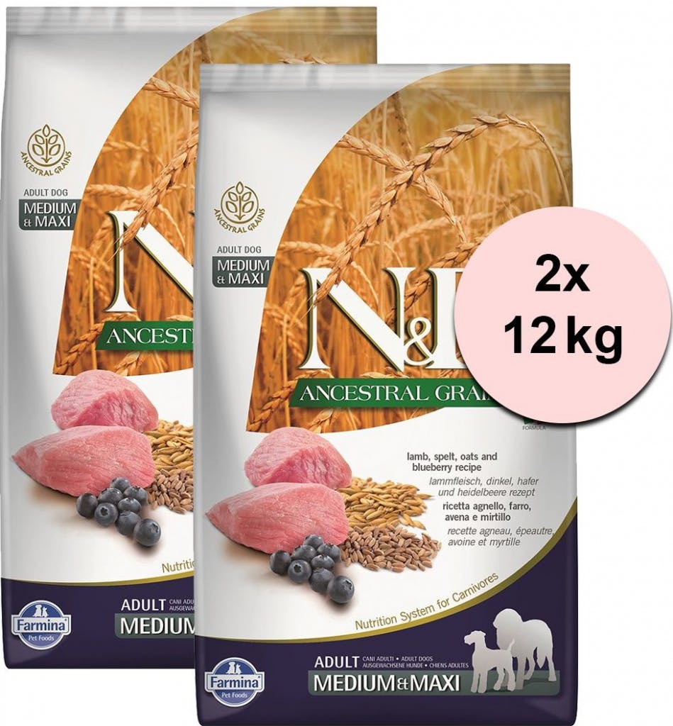 N&D Ancestral Grain Adult Medium & Maxi Lamb & Blueberry