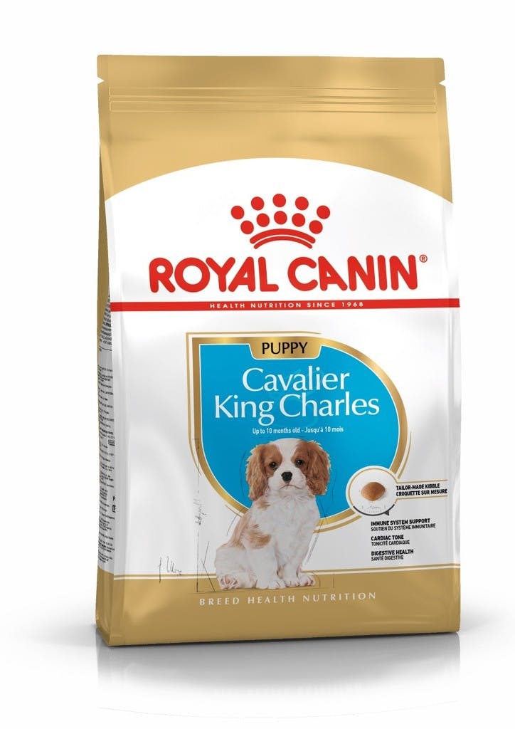Royal Canin Breed Health Nutrition Cavalier King Charles Puppy