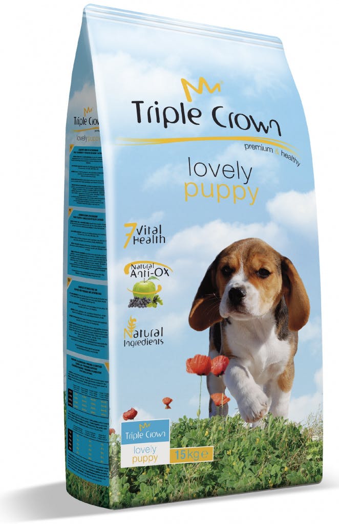 Triple Crown Lovely Puppy