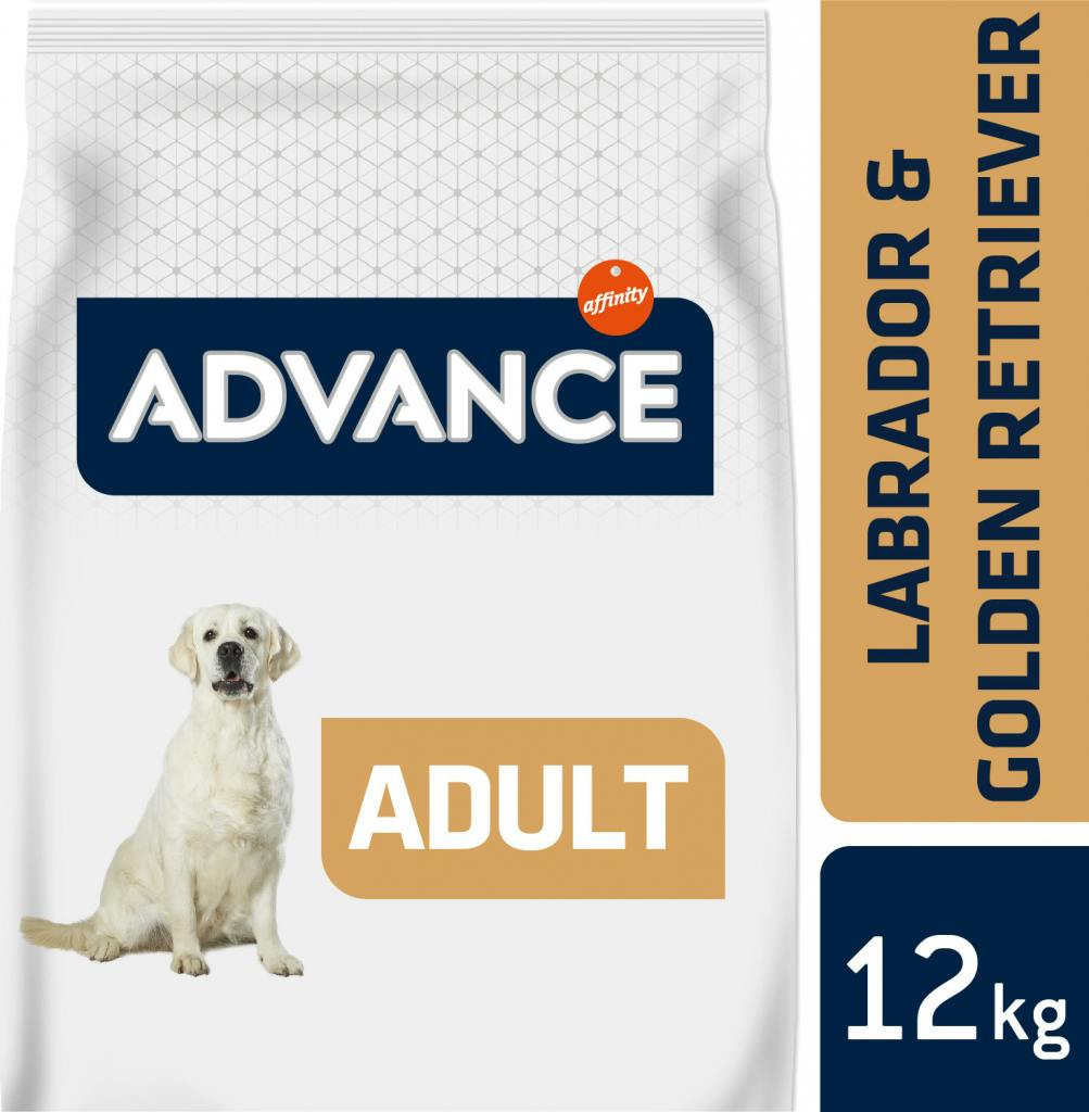 Advance Original Labrador Retriever
