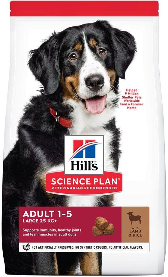 Hill's Science Plan Adult 1-5 Large Lamb