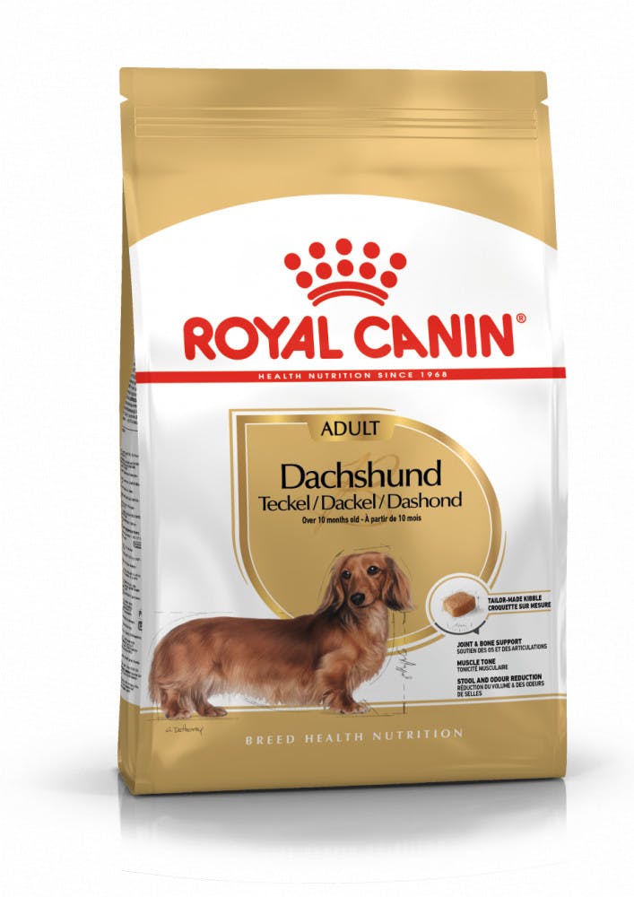 Royal Canin Breed Health Nutrition Dachshund Adult