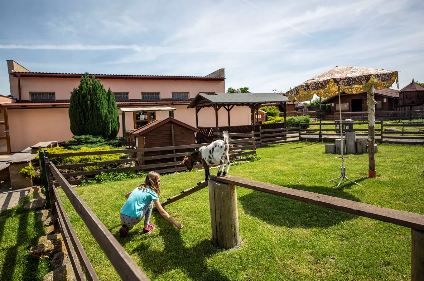 Dívka se křečí u plotu s kozou na zahradě zoo.
