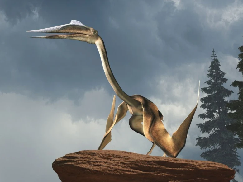 Ilustrace prehistorického létajícího plazu quetzalkoatla na skále.