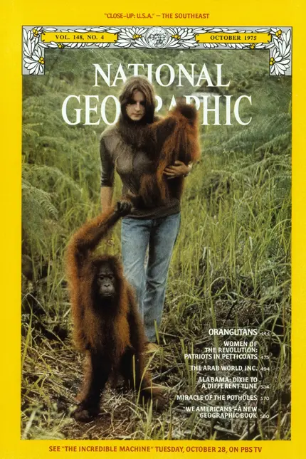 Žena s orangutany v džungli na obálce časopisu National Geographic.