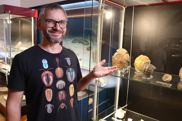 Muž v trikolitovém tričku stojí u vitriny s fosiliemi trilobitů