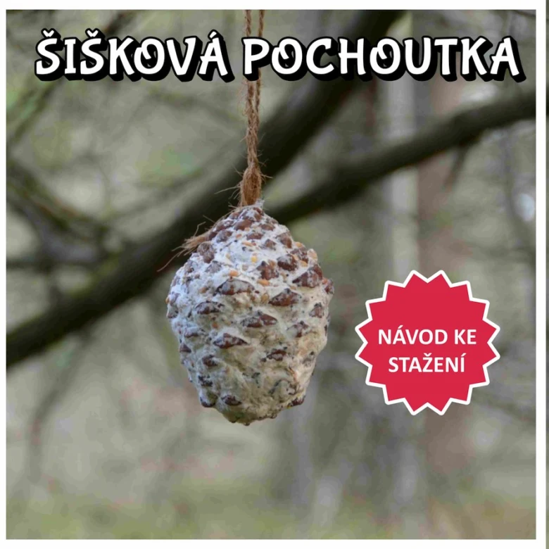 Věnovaný šišák s tukem pro krmení ptáků v zimě.