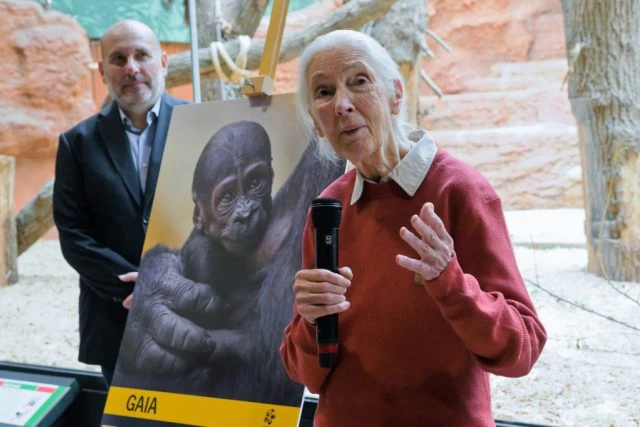 Jane Goodallová s mikrofonem u plakátu mladé orany.