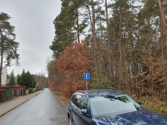 Modrý automobil stojí na mokré silnici v lese s výstražným značením.