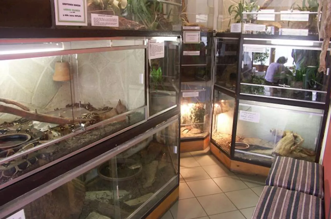 Výstava plazů v akváriích ve výloze zoologické zahrady.