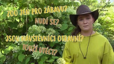 Žena v klobouku stojí mezi zelenými rostlinami.