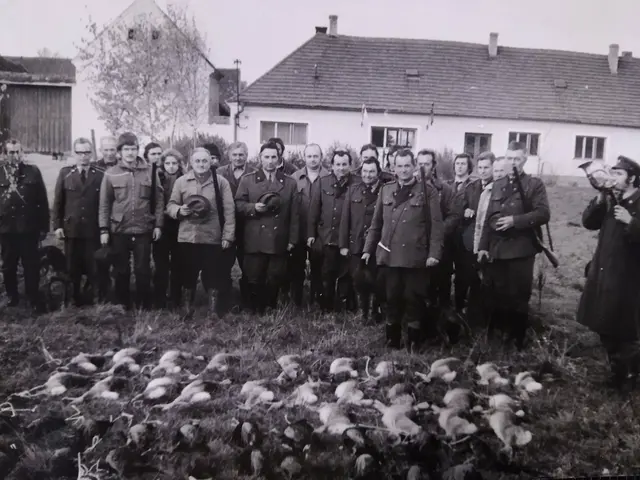 Hunting with decoys and ducks