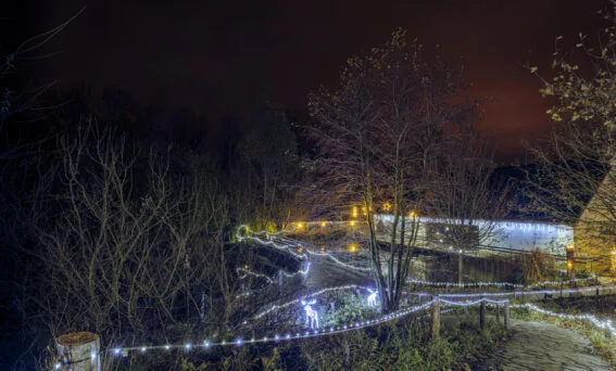 Noční osvětlení stromů a cesty v archeoskanzen Modrá Ryby