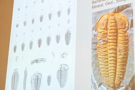 Ilustrace trilobitů od Joachima Barrandeho s fotografií fosilie.