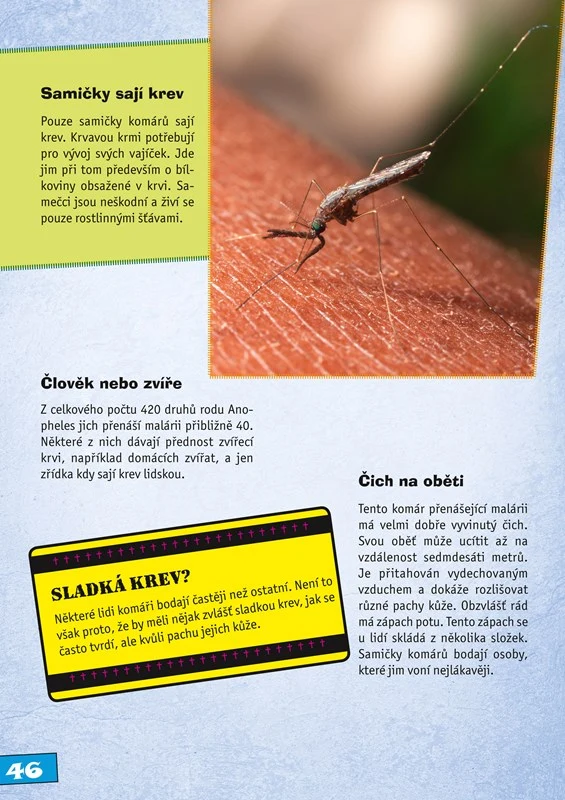 Mosquito on skin