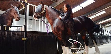 Woman riding a horse in stable