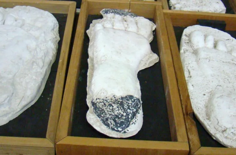 Yeti footprints in plaster casts