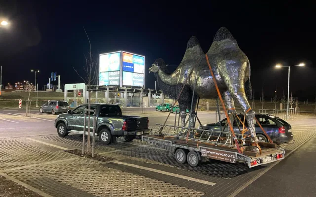 Velbloud v Plzni je transportován noční scéna s nákladním vozem.