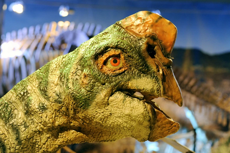 Zelená hlava dinosaura s oranžovým okem na výstavě pro děti.