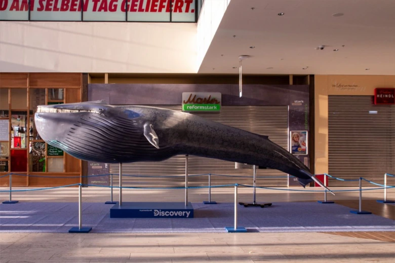 Model plejtváka obrovského vystavený v nákupním centru.