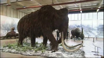 Velký srstnatý mamut v muzeu na sněhu.