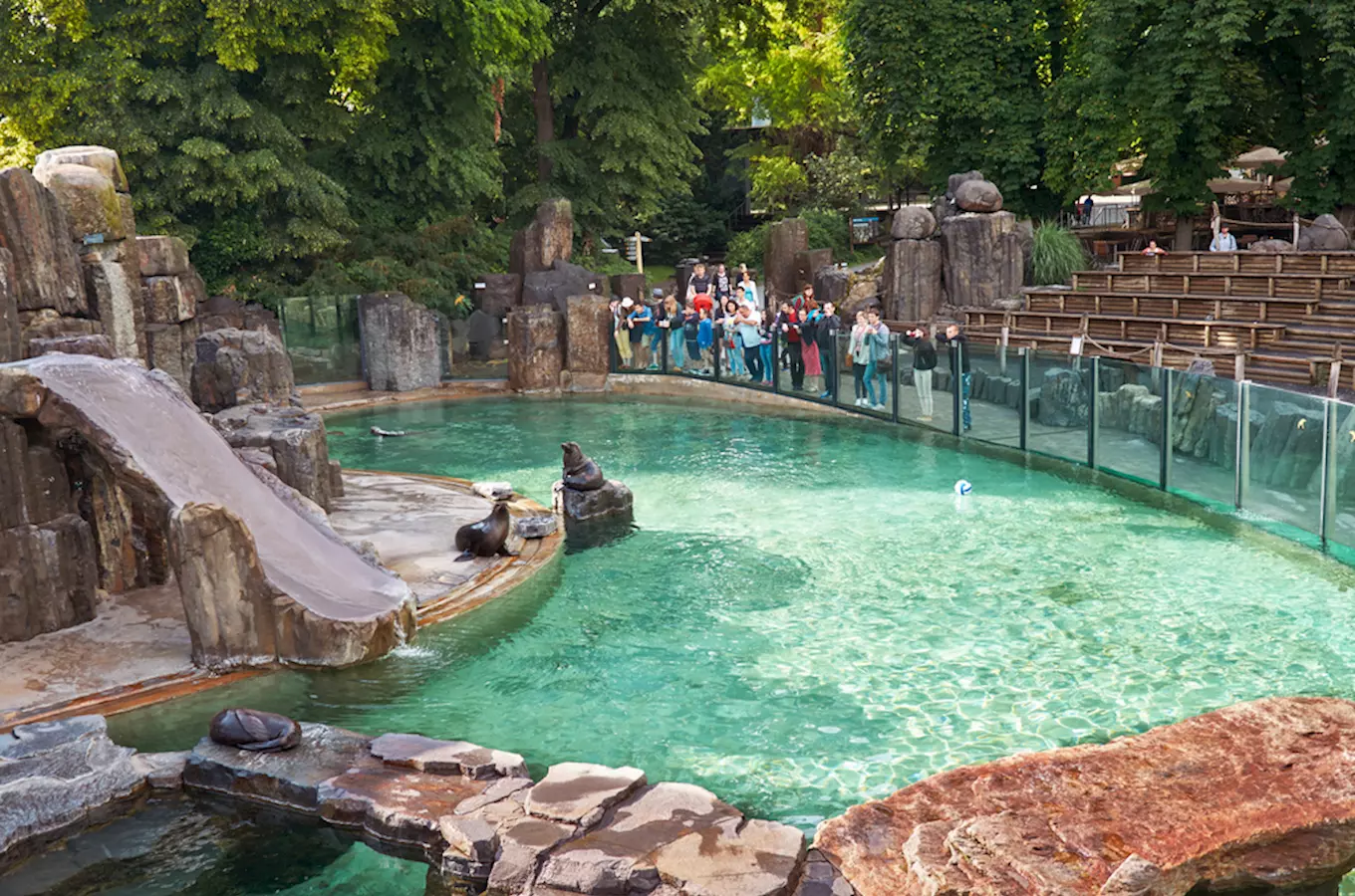 Návštěvníci sledují výcvik tuleňů v zoo areálu s bazénem a skalami.