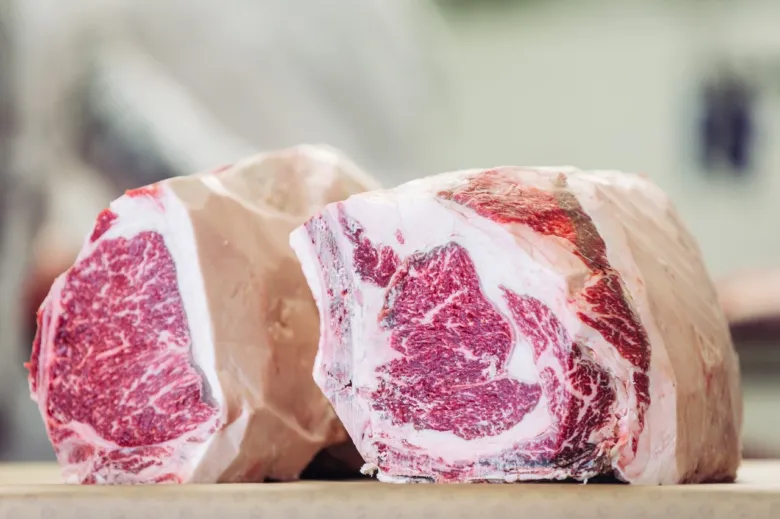 Dvě kusy syrového mramorovaného masa z krávy nebo skotu plemene wagyu.