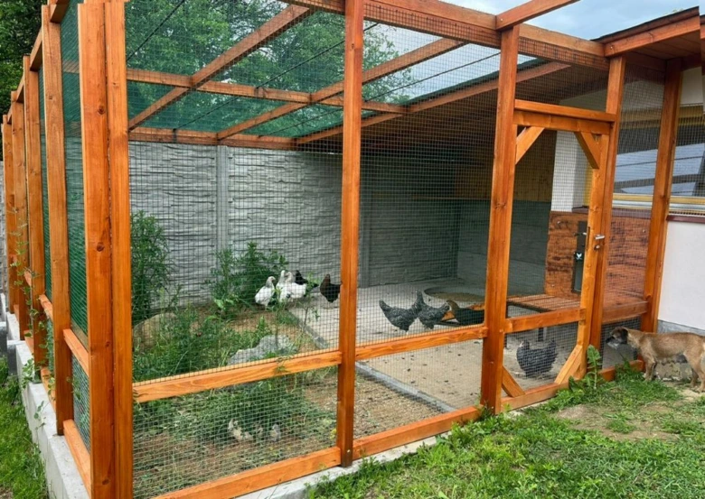 Kokety v dřevěném voliéru s psem uvnitř zahradního dvora.