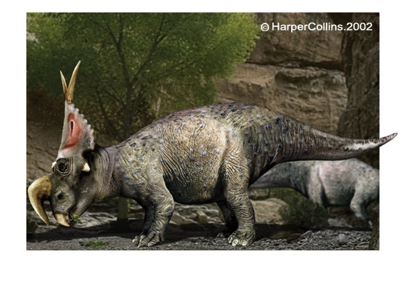 Ilustrace dinosaura Tricérataps s rohy v pravěku.