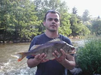 Muž drží okouna v ruce u řeky s lesním pozadím.