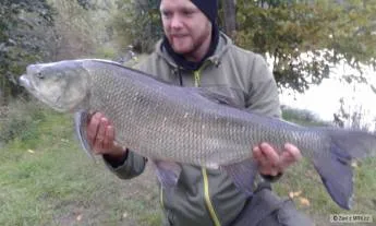 Muž drží velkou rybu bolena v přírodě.