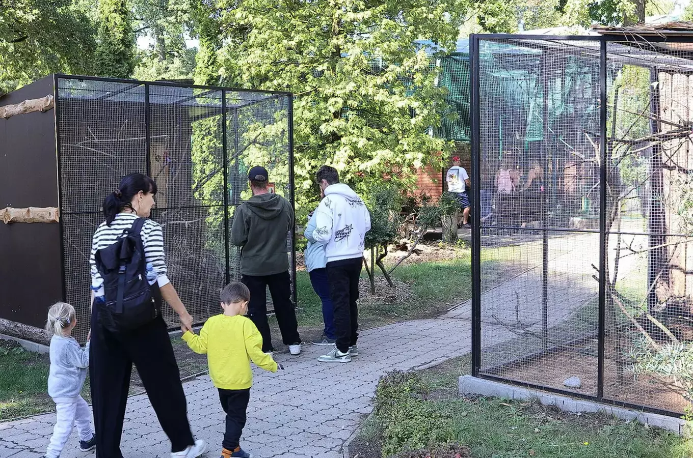 Rodina se prochází kolem výběhu zvířat v zoo.