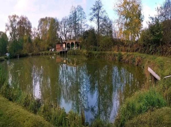 Rybniček s dřevěnou budkou obklopený stromy v podzimním prostředí.